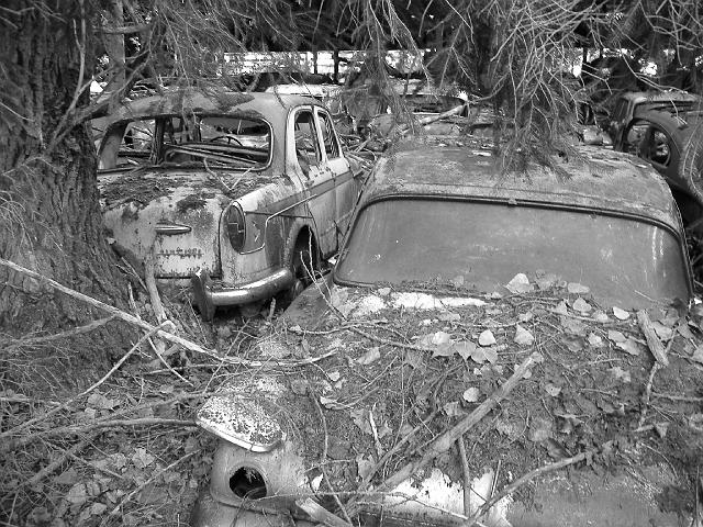 Autofriedhof - 103.JPG - Historischer Autofriedhof,    Gürbetal (CH)